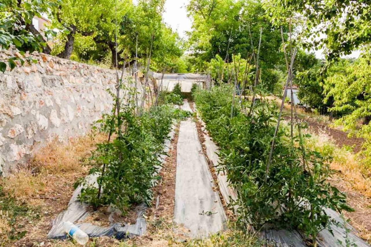 El Zarzal ξενώνας Horche Εξωτερικό φωτογραφία